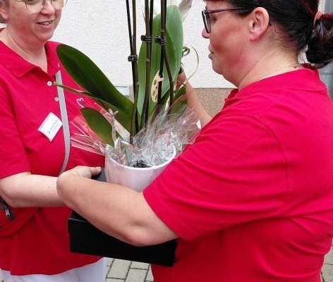 Pflegedienstleiterin Nicole Fuhrmann wird eine Pflanze überreicht